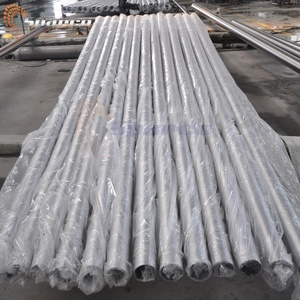 Facilità di installazione <span class=keywords><strong>10m</strong></span> di Alluminio motorizzato palo di bandiera esportati in Vietnam