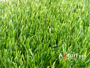 <span class=keywords><strong>Pasto</strong></span> / césped sintético para cancha de fútbol - Product Image 1