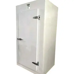 cold room freezer industrial freeze room food storage cold room