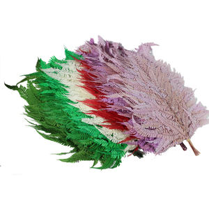 Plantes éternelles naturelles conservées, grandes feuilles de <span class=keywords><strong>fougère</strong></span> conservées, grandes plantes à feuilles vertes - Product Image 4