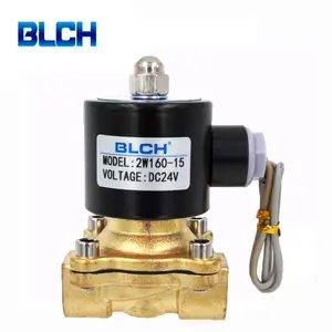 Competitive Price With High Quality Dc 24v 2W160-15 1/2 Inch Brass Pneumatic 12v Water Solenoid Valve