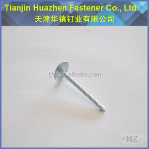 Q195 Electro <span class=keywords><strong>clavos</strong></span> galvanizados de precio barato - Product Image 6