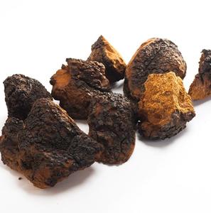 Hongo <span class=keywords><strong>Chaga</strong></span> Entero Seco Natural, Hongo Cinder Conk de Abedul, Proveniente de Bosques Silvestres - Product Image 3