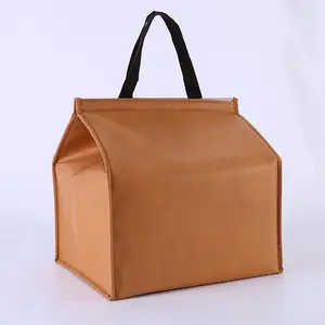 Expandable Polypropylene Beach Tote with Hook Loop Fastening Carrying Cooler Bag with Padded Thermal Insulation for Food Use