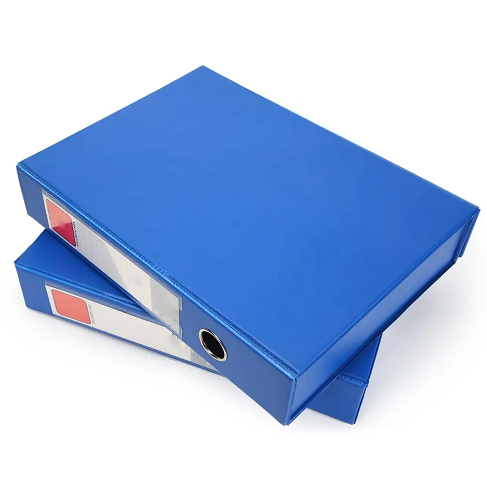 Custom Printing A4 File Folder/Plastic Folder/Document Folder