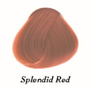 splendid red