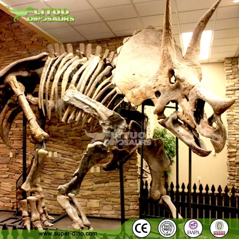Réplicas de Fósseis de Dinossauros de Resina de Exposições do Museu de <span class=keywords><strong>Triceratops</strong></span> dinossauro