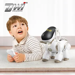 Dwi Dowellin Infrarood Afstandsbediening Kids Vriend Ai Chip Robot Hond Met Programmering