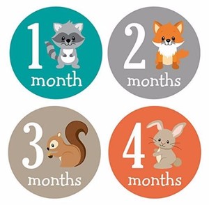 Pegatinas de hito mensual para bebé-diseño Simple de animales lindos para niña y niño-de 1 a 12 meses-pegatinas de hito-mono Elep - Product Image 4