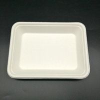 Emballage alimentaire biodégradables pour les aliments, plateau alimentaire de supermarché, charnue, pâte, assiette jetable, tasses et soucoupes, peint à la main
