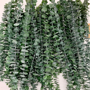 คุณภาพสูงแห้งใบ <span class=keywords><strong>eucalyptus</strong></span> ที่เก็บรักษาไว้สำหรับตกแต่ง - Product Image 3