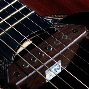 Ses delik gitar pikap, skysonic A-810 ahşap gitar ses delik manyetikler, akustik gitar ses delik manyetikler