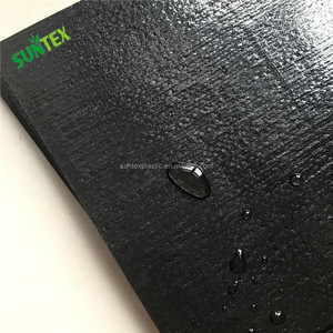 Fodere per laghetti in HDPE ad alta resistenza di alta qualità/geomembrane per piscicoltura per la costruzione impermeabilizzante - Product Image 5