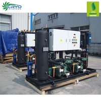 Système de réfrigération multi-compresseurs à condensation éco-responsable de 5 CV refroidi par air pour chambre froide