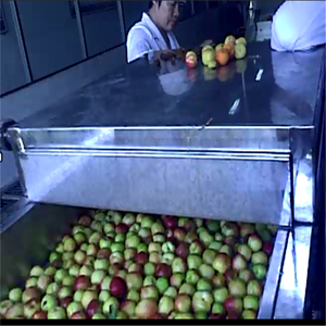 Fabbrica offerta industriale marmellata di albicocche linea di produzione di frutta marmellata di lavorazione e produzione di macchina - Product Image 3