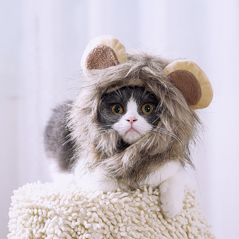Grossiste Perruque Chat Acheter Les Meilleurs Perruque Chat Lots De La Chine Perruque Chat Grossistes En Ligne Alibaba Com Grossiste Perruque Chat Acheter Les Meilleurs Perruque Chat Lots De La Chine Perruque Chat Grossistes En Ligne Alibaba Com