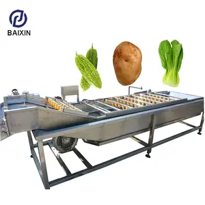 Large Scale Carrot Taro Washing Peeling Machine