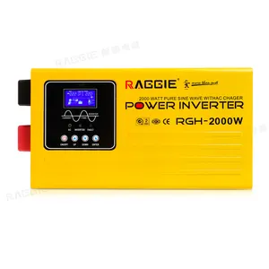 RAGGIE 2KW di Uscita di Frequenza Generale Inverter Solare Con 25A Griglia Caricatore