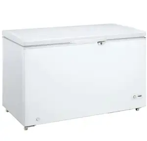 220v 100l 150l 200l 300l 1000l 2000l商用深胸冷冻冰柜冰箱和冷水机