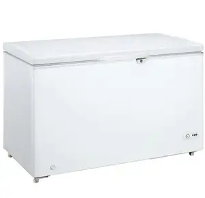 Réfrigérateur et congélateur commercial, glacière à coffre profonde, 220v, 100l, 150l, 200l, 300l, 1000l, 2000l