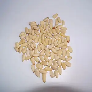 Prezzo di fabbrica noccioli biologici crudi 100% naturale sacchetto sottovuoto imballaggio cibo uso cina - Product Image 4