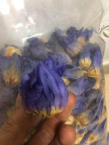 1000g Blue lotus blossom essiccato intero colore blu fiori chiusi acqua fiori di giglio blu in vendita - Product Image 4