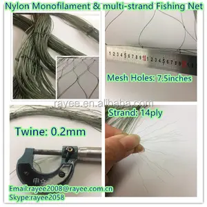 尼龙单丝捕鱼网，使用渔网废料，6fly 渔网，鱼网, 渔网电晕，fischernetze
