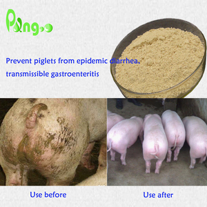 LS-01 PANGOO PLUS (SOLO PER SUINI), Previene Efficacemente Diarrea e Disenteria Batterica, Additivo Alimentare per Suinetti - Product Image 2