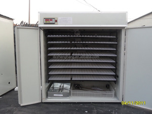 4000 trứng gia cầm <span class=keywords><strong>hatchery</strong></span>/công nghiệp egg vườn ươm 4224 eggs/gà vườn ươm - Product Image 2