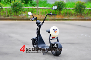 Nouveaux produits 2016 <span class=keywords><strong>citycoco</strong></span> électrique scooter 500 W <span class=keywords><strong>Junior</strong></span> Ville CoCo électrique Scooter - Product Image 6