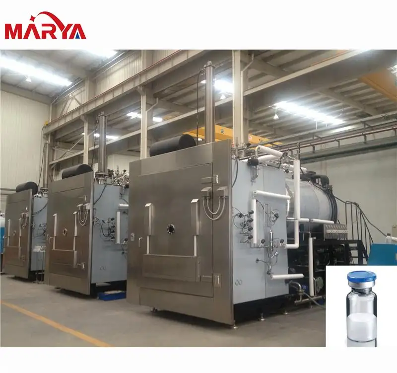 Marya Pilot Freeze Dryer Lyophilizer, Auto Freeze Drying Machine, freeze dryer machine