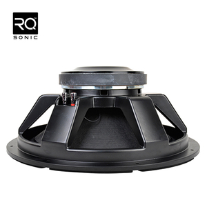 P Audio 18 Inch Speakers 