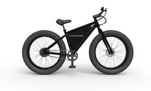 MAC 10 t kaset ebike motoru yükseltme