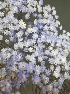 Color estrellado nórdicos creativa Decoración habitación DIY Artificial Gypsophila <span class=keywords><strong>acuerdo</strong></span> de aliento de bebé - Product Image 6
