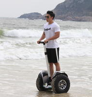 Scooter électrique intelligent 19 pouces auto-équilibré 60V batterie au Lithium 3000W moteur deux roues en alliage d'aluminium roue Chariot Scooter