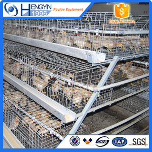 Equipos gallinero jaula <span class=keywords><strong>de</strong></span> <span class=keywords><strong>pollos</strong></span> <span class=keywords><strong>de</strong></span> <span class=keywords><strong>engorde</strong></span> para la <span class=keywords><strong>venta</strong></span> en filipinas - Product Image 2