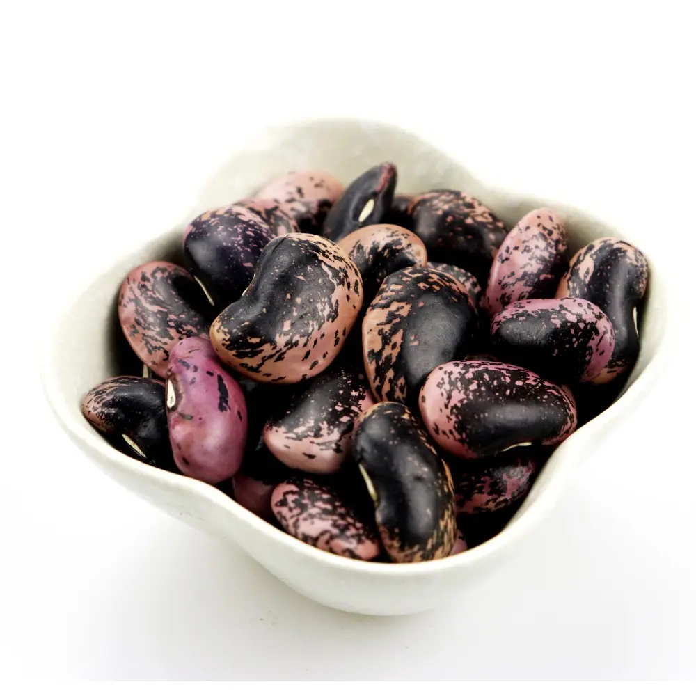 異なるサイズのLBSKBを持つ中国の大きな黒い斑点のあるインゲン豆