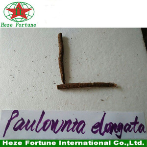 comprar el 99% sobrevive fuerte paulownia adaptabilidad raíz shan tong - Product Image 6
