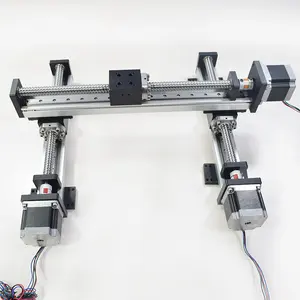 RXSN40XY-H1 xyz portal CNC lineer modüller slayt masa XY eksen çok eksenli raylı hareket kılavuzu aktüatör vidalı robotik tezgah