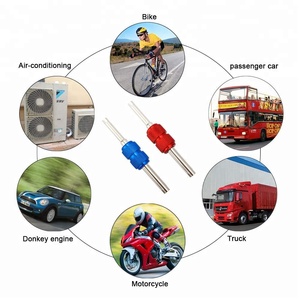 Universale Valve Stem Nucleo di Rimozione Cacciavite Per Il Camion <span class=keywords><strong>Auto</strong></span> Moto Strumento di Riparazione Pneumatici Installare Rimuovere Strumento - Product Image 6