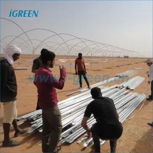 Poly film green house for cucumber