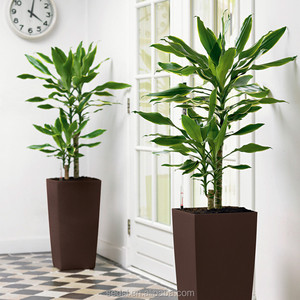Pots en plastique <span class=keywords><strong>vert</strong></span>, pot de fleurs <span class=keywords><strong>vert</strong></span>, grands bacs en plastique <span class=keywords><strong>vert</strong></span> - Product Image 6