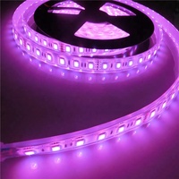 Waterdichte 5050 Rgb 12V 24V IP68 Water Proof Led Strip Licht Voor Zwembad