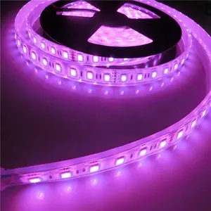 Tahan Air 5050 RGB 12V 24V IP68 Water Proof Led Lampu Strip untuk Kolam Renang