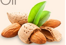 <span class=keywords><strong>Aceite</strong></span> <span class=keywords><strong>de</strong></span> <span class=keywords><strong>Almendras</strong></span> <span class=keywords><strong>Dulces</strong></span> 100% Orgánico Puro al por Mayor - Product Image 2