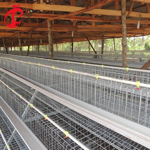 A Type Poultry Farming 3 Tiers <strong>Cheap</strong> Layer <strong>Cage</strong> Battery Chicken <strong>Price</strong> <strong>Cages</strong> in Algeria - Product Image 5