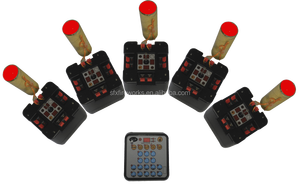 Hệ Thống Bắn Pháo Hoa Điều Khiển Từ Xa Không Dây Phổ Biến Bán Chạy Mới Với CE Cetifacation - Product Image 6