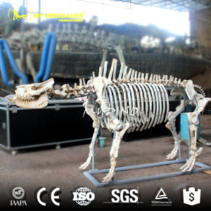<span class=keywords><strong>My</strong></span> Dino AS010 — squelette, Animal artificiel, hippopotame, grande taille - Product Image 3