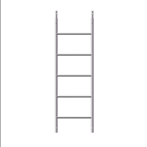 บันไดเหล็กสำหรับงานก่อสร้างแบบวงแหวน HDG - Product Image 2
