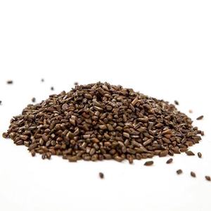 Échantillon gratuit de graines de <span class=keywords><strong>Cassia</strong></span> <span class=keywords><strong>Alata</strong></span> (<span class=keywords><strong>Cassia</strong></span> Fistula) - Product Image 1